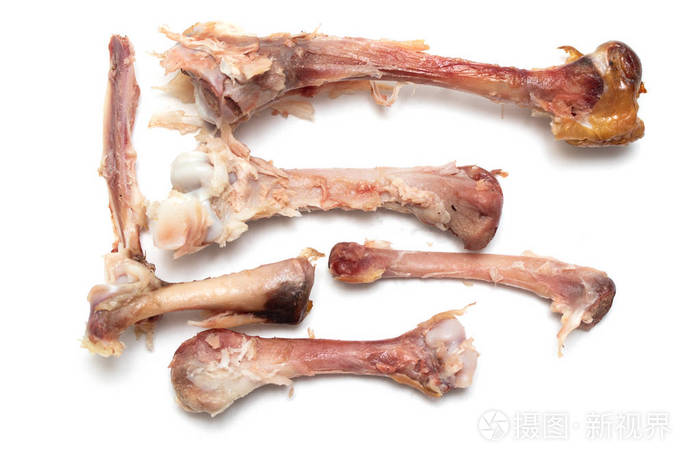 在白色背景下进食后的鸡骨
