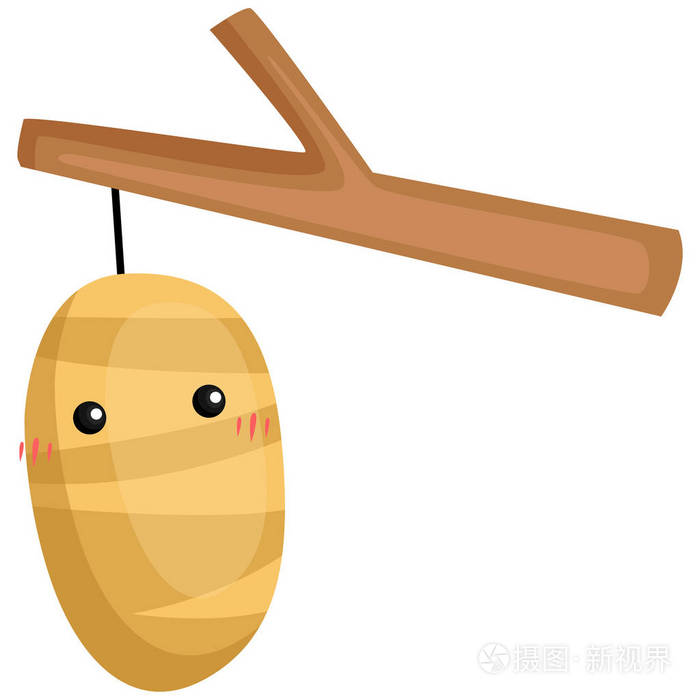 一个可爱可爱的茧的载体