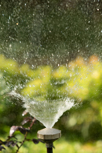 散焦溅水模糊滴水波克自然