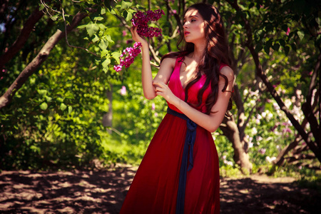 美丽的年轻女孩穿着一件长长的丝绸紫红色连衣裙。 黑发女人，留着漂亮的长发。 女孩走在春天的公园里，带着开花的丁香花灌木