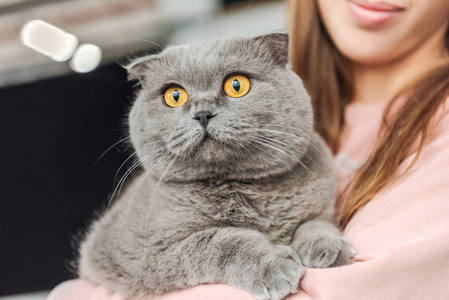 带着可爱的苏格兰折叠猫的微笑的年轻女人