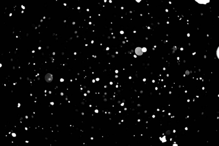 黑雪背景白点照片