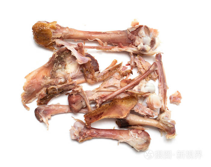在白色背景下进食后的鸡骨