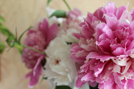 淡粉色和白色牡丹花束