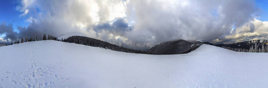 有雪覆盖的松树和低云的冬山景观