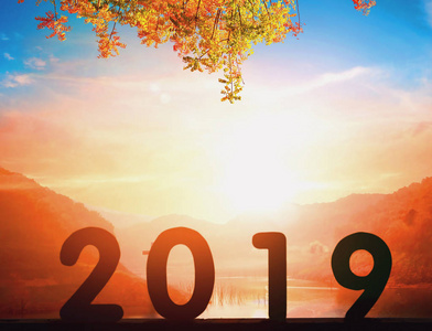 2019年新年概念2019年日落背景