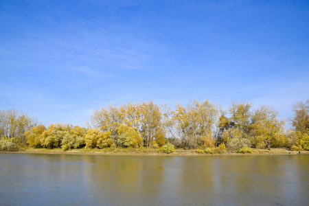 秋天的风景。河岸与秋天树。b 上的杨树