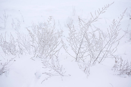 雪纹理背景与拷贝空间