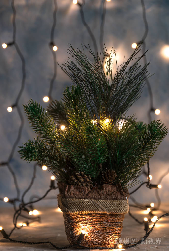 圣诞节的一个节日，一棵圣诞树，在花环的背景上，没有装饰在锅里。