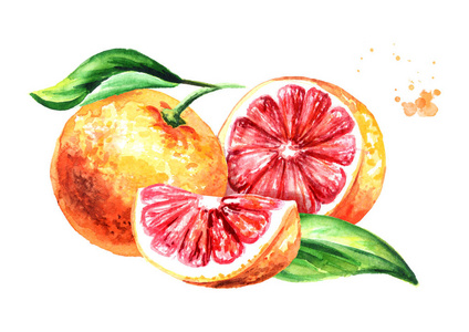 新鲜多汁的柚子,半片和叶子. 水彩画手绘插图分离白色背景摄影图
