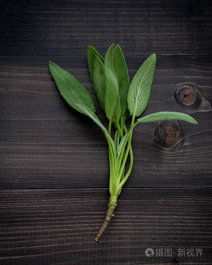 在黑暗的木制背景上特写新鲜的鼠尾草叶子
