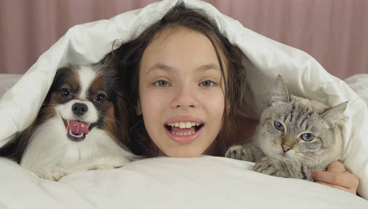 愉快的少女沟通与狗帕皮龙和泰国猫在床上