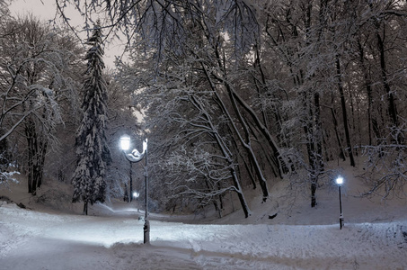 美丽的夜晚，冬天的斯特里杰斯基公园在LV IV市乌克兰的中心，积雪覆盖的树木。