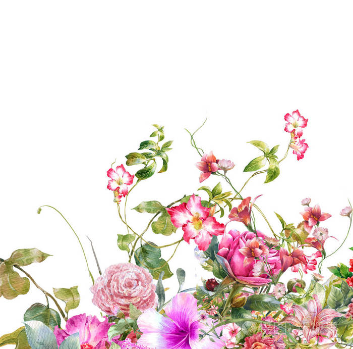 白色背景的叶子和花的水彩画照片 正版商用图片14dmwf 摄图新视界 白色背景的叶子和花的水彩画照片 正版商用图片14dmwf 摄图新视界