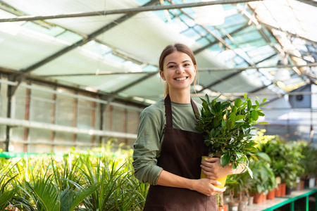 欧洲女园丁20多岁，穿着围裙，手里拿着植物，在温室里工作