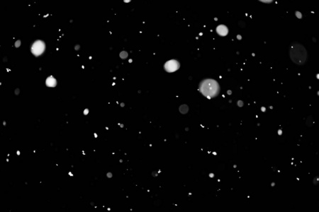 暴风雪的质地。 黑色背景下的灯光，天空中飞舞的雪花