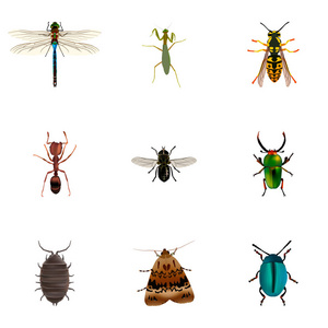 一套昆虫逼真的符号与昆虫, 错误, 飞蛾和其他图标为您的网络移动应用程序徽标设计