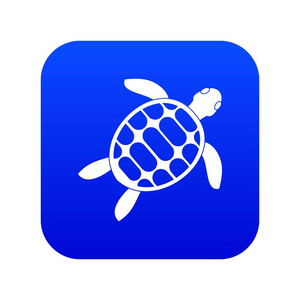 海龟图标数字蓝色