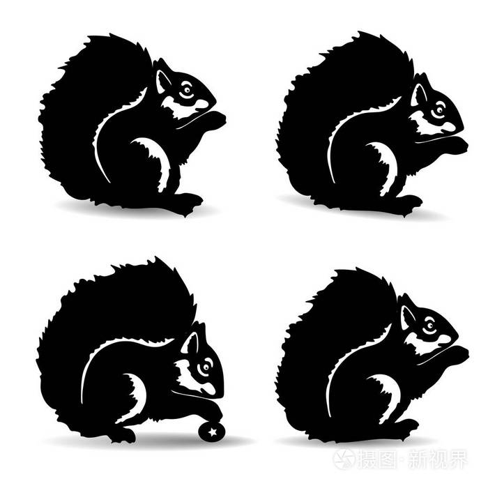 设计矢量的剪影松鼠装饰插画-正版商用图片14dx7p-摄图新视界
