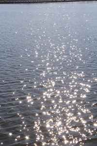 阳光反射在水的涟漪中图片