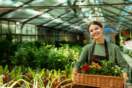 在温室里工作时，20多岁的快乐花店妇女穿着围裙，背着一篮子植物