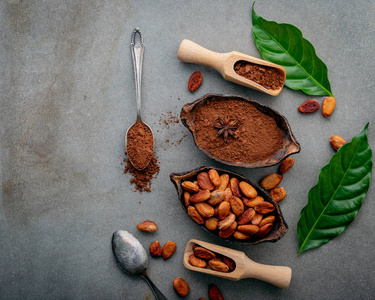 可可豆可可粉图片-可可豆可可粉素材-可可豆可可粉插画-摄图新视界