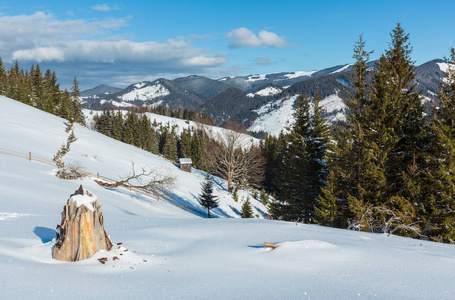 冬天的早晨，风景如画的山上白雪覆盖，一些枯萎的防风树和树桩乌克兰卡帕西亚山脉宁静，德森布罗尼亚村，农村郊区。