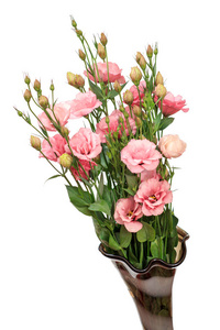 白色背景玻璃花瓶里美丽的粉红色花束