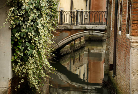 威尼斯居民区小运河上的风景桥图片