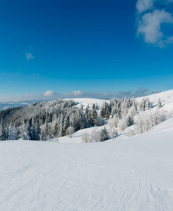 冬季平静的山景，山坡上有美丽的霜树和雪堆乌克兰喀山脉