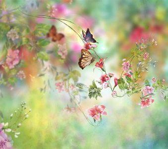 春天五彩斑斓照片