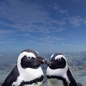 麦哲伦企鹅是一群几乎完全生活在南半球，特别是南极的水生无飞鸟