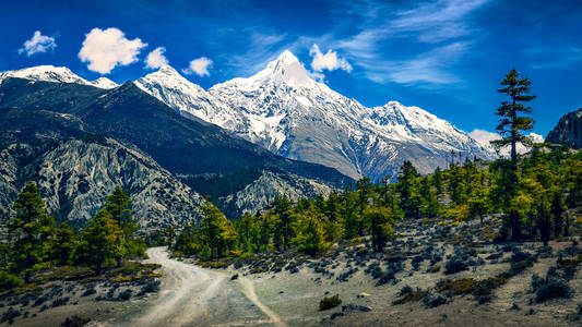 山脉景观与雪峰和弯曲的道路喜马拉雅山尼泊尔亚洲