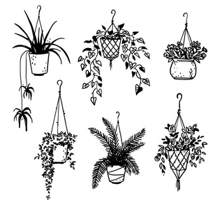 手绘植物盆栽图片-手绘植物盆栽素材-手绘植物盆栽插画-摄图新视界