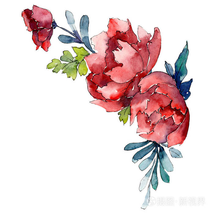 红色的花 孤立的花插图元素 背景插图集 水彩画水花花束照片 正版商用图片14evuj 摄图新视界