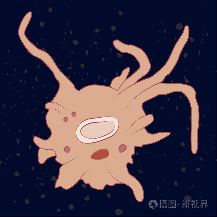 单细胞真核生物小叶原虫载体图解