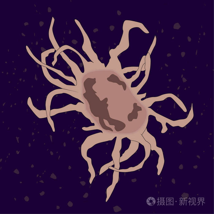 单细胞真核生物无核原虫载体图解