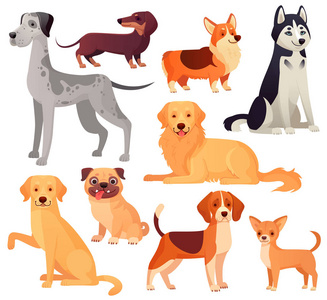 狗宠物字符。拉布拉多狗, 金毛猎犬和哈士奇。动画片向量被隔绝的例证集合