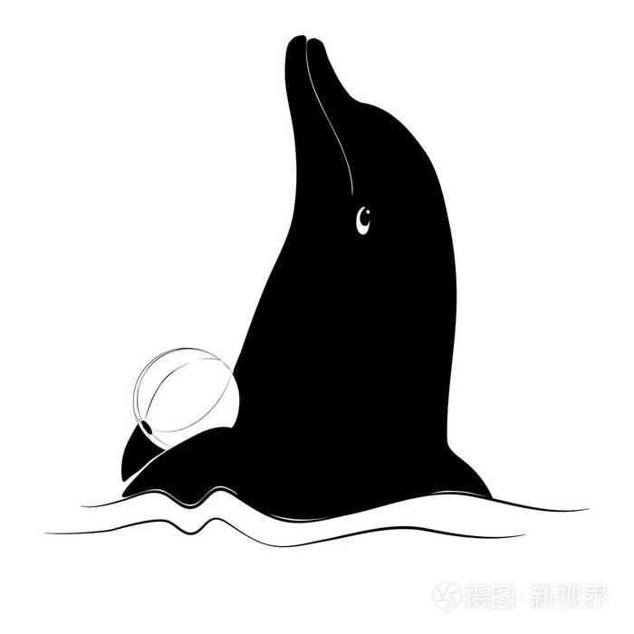 海豚的剪影,白色背景的波浪上有一个球