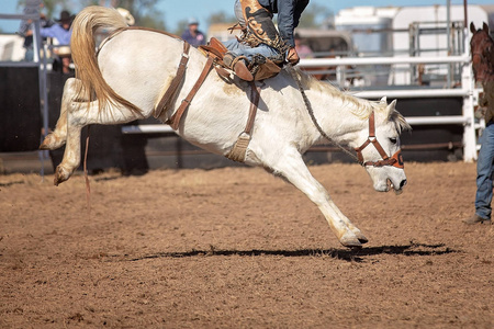 牛仔在一场乡村牛仔竞技比赛中，骑着一匹疯狂的马参加裸背野马比赛
