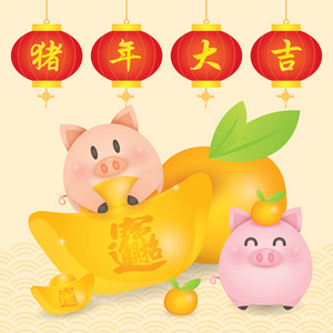 2019中国新年猪矢量与可爱的小猪与灯笼联金锭橘。 翻译猪的吉年