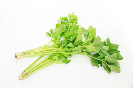 芹菜蔬菜有机食品健康自然