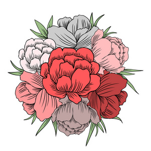 金莲胭脂花, globeflower 或 kupavna 圆形框架, 在白色背景上分离的