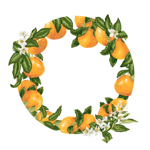 模板装饰矢量元素与柑橘类水果圆形设计图形插图