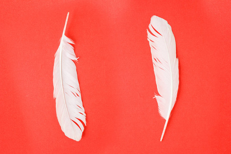红色背景上的白色羽毛。