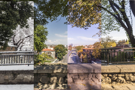 四季概念。 四季对城市环境的影响。 四张照片，一个地方捕捉在一年，并无缝混合在一个摄影复合。