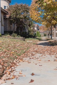 一堆干耙叶在人行道上准备收集在新开发的住宅区街道路径。 鲜艳的黄色树叶的颜色