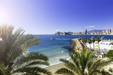 有棕榈树的庞尼特海滩，港口的摩天大楼和西班牙的山脉。