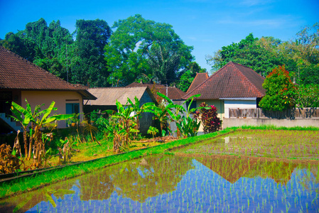 东南亚岛屿图片