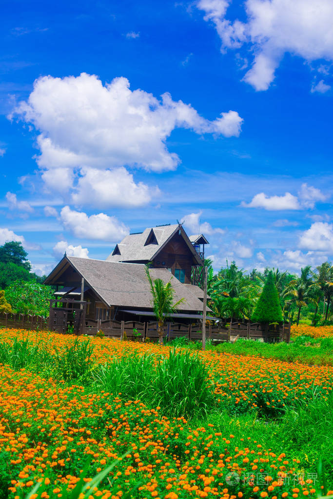 巴厘岛是一个印度尼西亚岛屿,被称为旅游目的地.